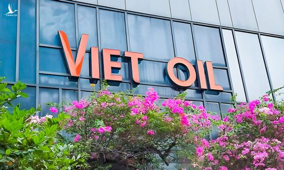 Nguyên phó cục trưởng nhận tiền hối lộ, làm ngơ sai phạm của Xuyên Việt Oil