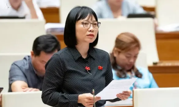 Đại biểu Quốc hội lên tiếng về vụ hoa hậu Thùy Tiên bị bắt