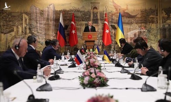 Nga cân nhắc vòng đàm phán mới với Ukraine, sẽ trao thứ quan trọng cho đối phương khi hoàn thành