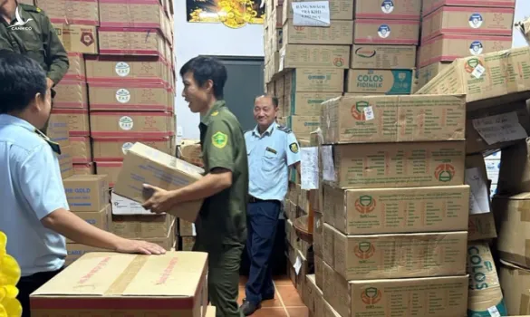 Long An phát hiện gần 12.000 lon sữa không rõ nguồn gốc giá trị ước tính hơn 3 tỷ đồng