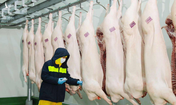 C.P. Việt Nam công bố kết quả giải quyết của công an liên quan tố cáo thịt heo