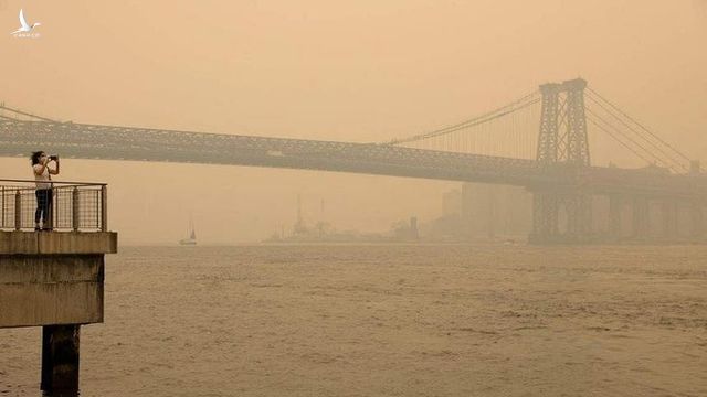 New York bỗng dưng gặp họa lớn