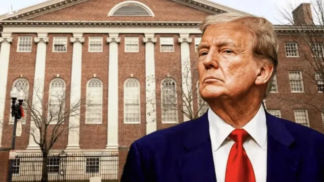 Chính phủ Mỹ cấm Đại học Harvard tuyển sinh viên quốc tế